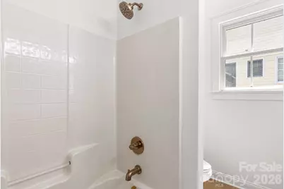 361 Elis Way, Fort Mill, SC 29708 - Photo 34