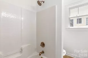 361 Elis Way, Fort Mill, SC 29708 - Photo 34