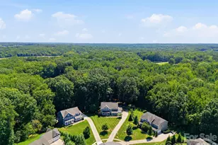 1009 Brookmeade Dr, Waxhaw, NC 28173 - Photo 38