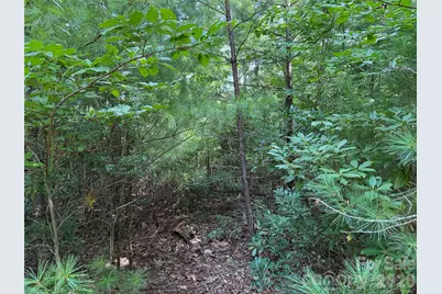 Tbd Rich Pine Drive #119, Purlear, NC 28665 - Photo 6