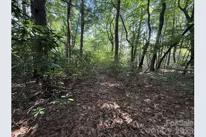 Tbd Rich Pine Drive #119, Purlear, NC 28665 - Photo 4