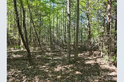 Tbd Pinkwood Drive, Rutherfordton, NC 28139 - Photo 14