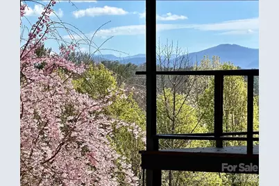 56 and 58 Donna Lane, Alexander, NC 28701 - Photo 2