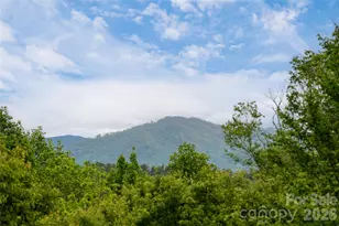 56 and 58 Donna Ln, Alexander, NC 28701 - Photo 34