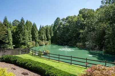20 Spring Lake Drive, Mills River, NC 28759 - Photo 6
