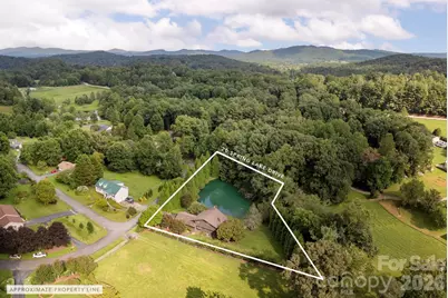 20 Spring Lake Drive, Mills River, NC 28759 - Photo 44