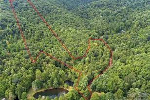 Tbd Pond Rd, Spruce Pine, NC 28777 - Photo 1