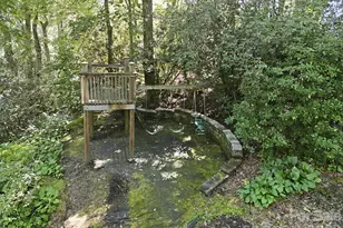 151 Ridgewood Acres Dr, Hendersonville, NC 28792 - Photo 36