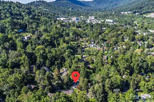 110 Aurora Dr, Asheville, NC 28805 - Photo 48