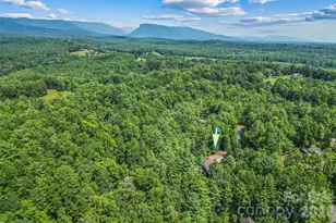 3201 Donahue Drive, Nebo, NC 28761 - Photo 46