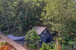 410 Mother-In-Law Ln, Burnsville, NC 28714 - Photo 42