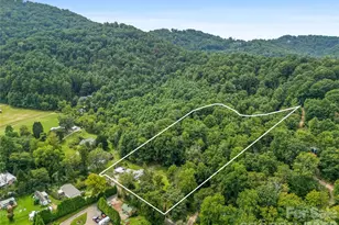 91 Rice Branch Rd, Asheville, NC 28804 - Photo 42