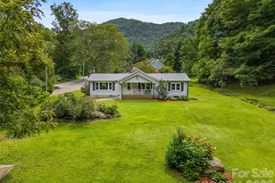 91 Rice Branch Rd, Asheville, NC 28804 - Photo 1
