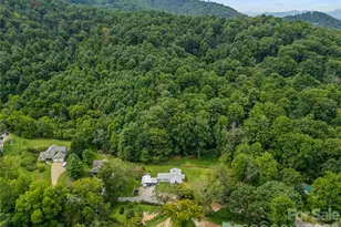 91 Rice Branch Rd, Asheville, NC 28804 - Photo 36