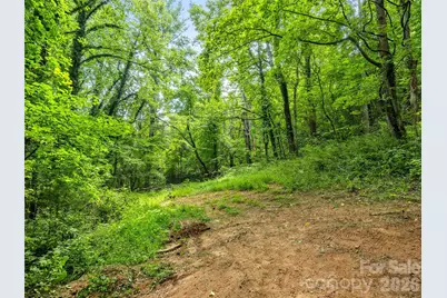 91 Rice Branch Road, Asheville, NC 28804 - Photo 40
