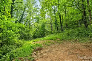 91 Rice Branch Rd, Asheville, NC 28804 - Photo 40