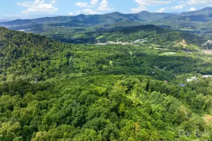 50 Cherokee Ln, Swannanoa, NC 28778 - Photo 30