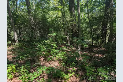 1824 Old Mill Road, Hendersonville, NC 28792 - Photo 2