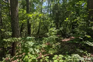1824 Old Mill Rd, Hendersonville, NC 28792 - Photo 1