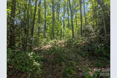 1824 Old Mill Road, Hendersonville, NC 28792 - Photo 4