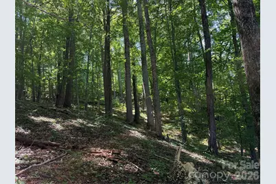 4281 Prices Creek Road, Burnsville, NC 28714 - Photo 16