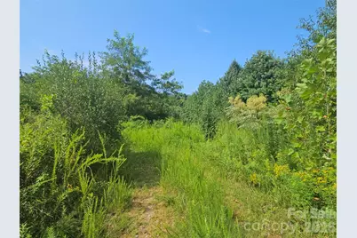 522 Buckeye Access Road, Swannanoa, NC 28778 - Photo 6