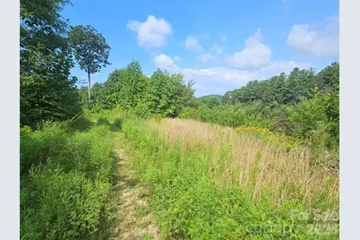 522 Buckeye Access Road, Swannanoa, NC 28778 - Photo 44