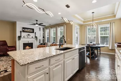 11230 Black Brant Lane, Charlotte, NC 28278 - Photo 8
