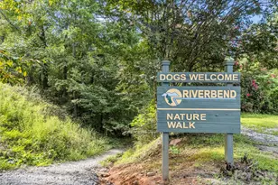 1050 Buffalo Shoals Rd, Lake Lure, NC 28746 - Photo 38