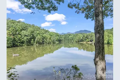 1050 Buffalo Shoals Road, Lake Lure, NC 28746 - Photo 46