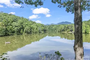 1050 Buffalo Shoals Rd, Lake Lure, NC 28746 - Photo 46