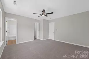 13711 Singleleaf Lane, Charlotte, NC 28278 - Photo 10