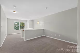 13711 Singleleaf Lane, Charlotte, NC 28278 - Photo 8