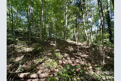 00 Liberty Road #21, Waynesville, NC 28785 - Photo 2