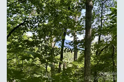 00 Liberty Road #21, Waynesville, NC 28785 - Photo 4