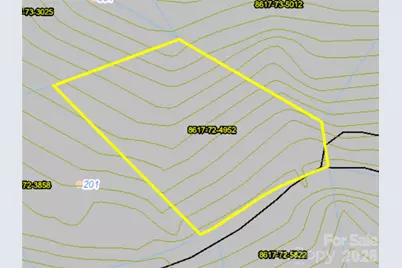00 Liberty Road #21, Waynesville, NC 28785 - Photo 8