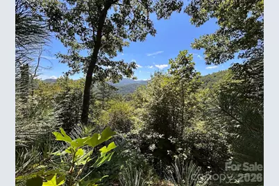 9999 US Hwy 441 Highway S, Sylva, NC 28779 - Photo 2