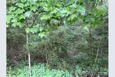 Off Meadowbrook Circle, Brevard, NC 28712 - Photo 8