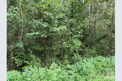 Off Meadowbrook Circle, Brevard, NC 28712 - Photo 14
