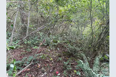 Off Meadowbrook Circle, Brevard, NC 28712 - Photo 10