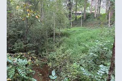 Off Meadowbrook Circle, Brevard, NC 28712 - Photo 6
