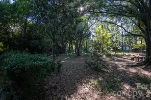 6323 Chalyce Ln, Charlotte, NC 28270 - Photo 18