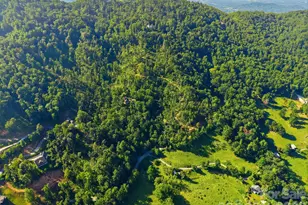 270 Upper Herron Cove Rd, Weaverville, NC 28787 - Photo 40