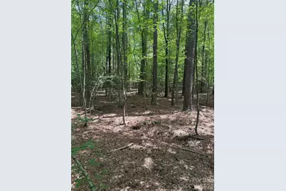 0 Blackwell Street, Mount Gilead, NC 27306 - Photo 4