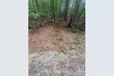 0 Blackwell Street, Mount Gilead, NC 27306 - Photo 6