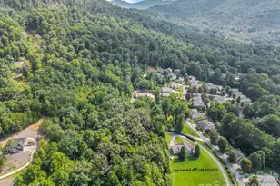 39 Village Overlook Loop, Swannanoa, NC 28778 - Photo 36