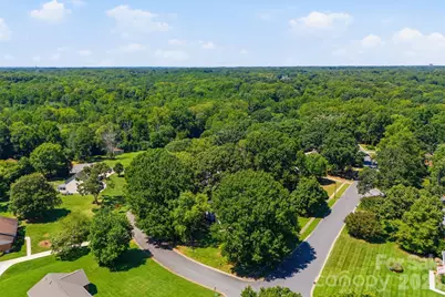 9319 Old Gold Mine Court, Mint Hill, NC 28227 - Photo 48