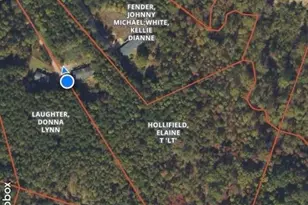 366 Shires Rd, Ellenboro, NC 28040 - Photo 10