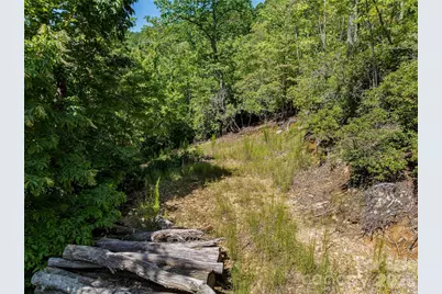 204 Forge Crest Drive #38, Mills River, NC 28759 - Photo 8