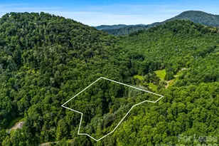 81 Summer Trees Ln, Burnsville, NC 28714 - Photo 6